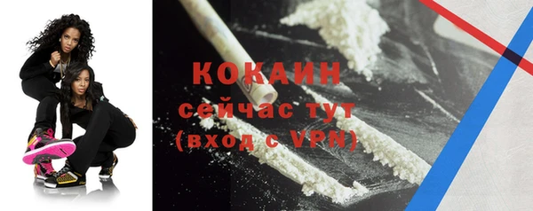 винт Краснослободск